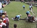 Markvarec 2001