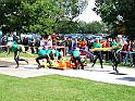 Mydlovary 2012